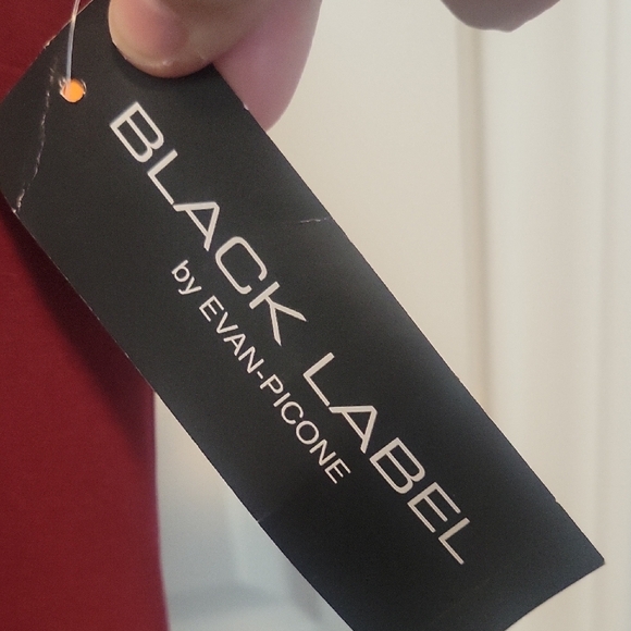 Black Label by Evan Picone Burgundy Asymmetrical Dress - Picture 4 of 9